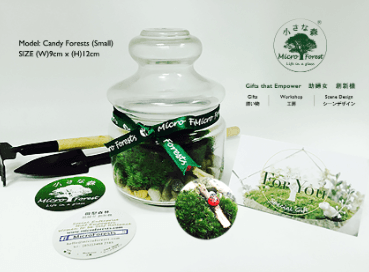 MicroForests - 綠植共創團隊工作坊